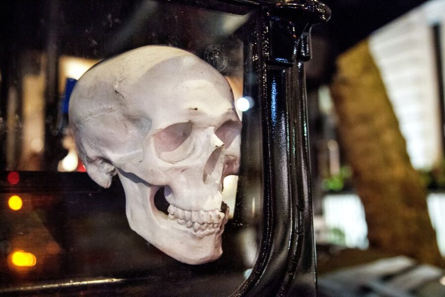 London: Comedy Horror Ghost Tour on a Bus - Key things you’ll notice on the Necrobus tour