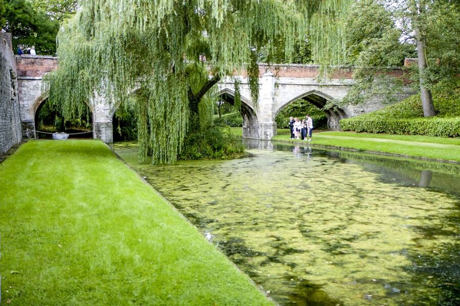 London: Entry Ticket to Eltham Palace and Gardens - Why Eltham Palace feels like a time-travel mix