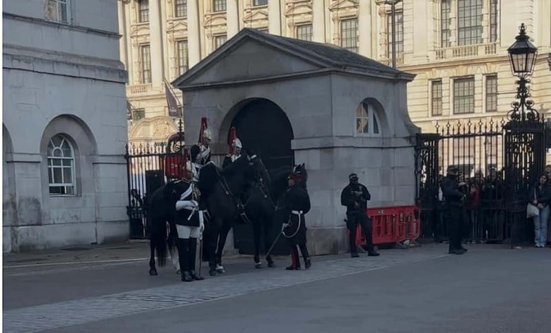 London: Essential Tour and Changing of the Guard, in Spanish - Who this tour fits best