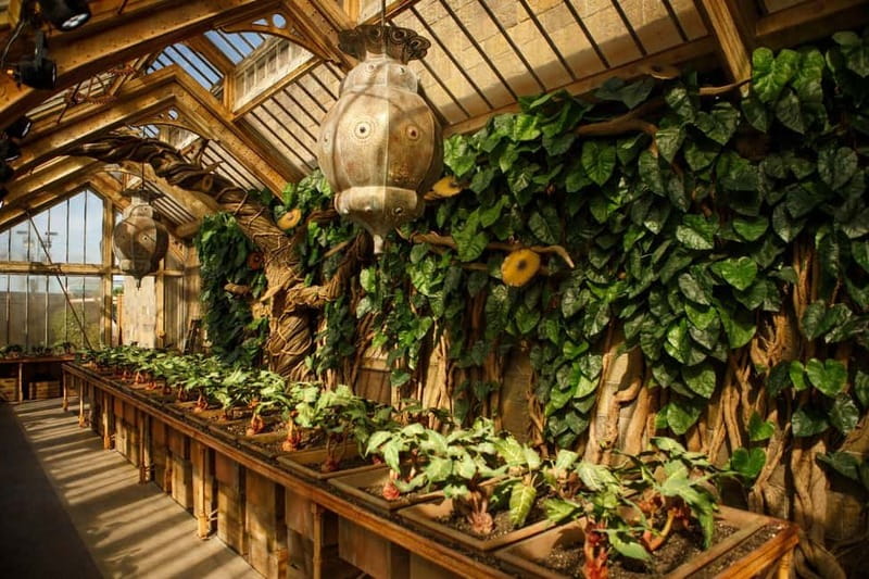 London: Harry Potter™ Studio Tour London & 4-Star Hotel Stay - Summer 2025 Harry Potter magic: Triwizard Tournament feature details