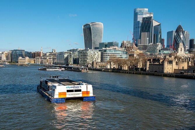 London: Harry Potter Walk, Hop-on Hop-off Bus Tour and Cruise - Central London Landmarks You Pass Along the Way