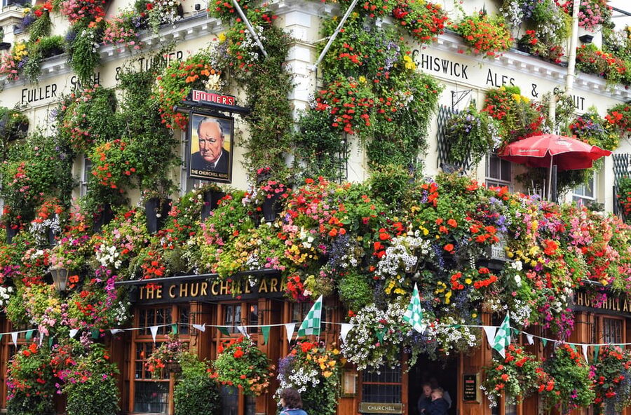 London: Kensington and Chelsea Guided Walking Tour - Why This Kensington and Chelsea Walk Works So Well