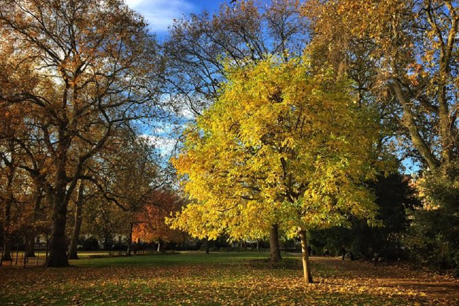 London Literary Private Walking Tour Of Bloomsbury - Stop-by-Stop: Bedford Square and the Poetry of Small Streets