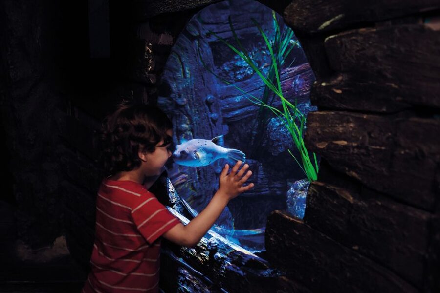 London: Madame Tussauds, London Eye & SEA LIFE Combo Ticket - A South Bank Trio: Why This Combo Ticket Works in Real Life