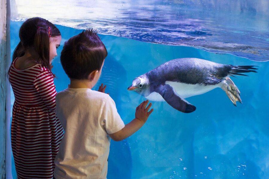 London: Madame Tussauds, SEA LIFE and London Dungeon Entry - Quick hits on this London combo ticket