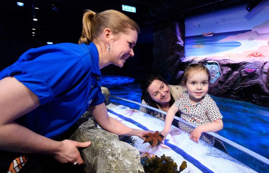 London: Madame Tussauds, SEA LIFE and London Dungeon Entry - Price and value: when $86.21 makes sense