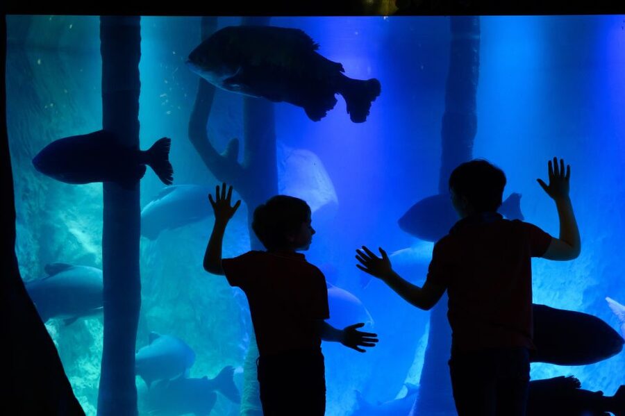 London: Madame Tussauds, SEA LIFE and London Dungeon Entry - Madame Tussauds: red carpet glamour with a booked time slot