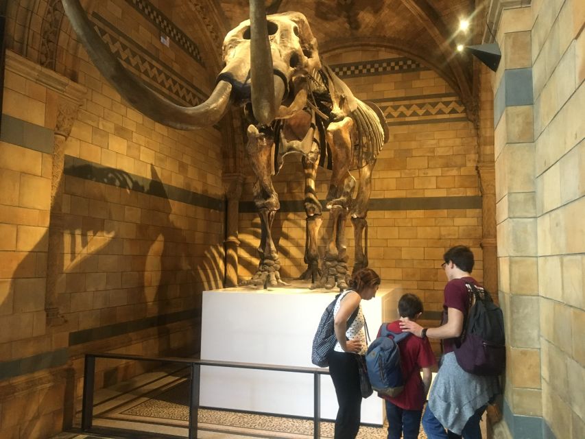 London: Natural History Museum Entry Ticket and Guided Tour - Express security and reserved entry: the part you feel first