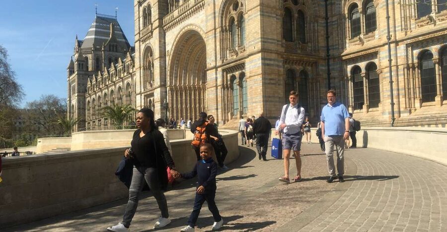 London: Natural History Museum Entry Ticket and Guided Tour - Wildlife Garden: a quieter payoff after the big halls