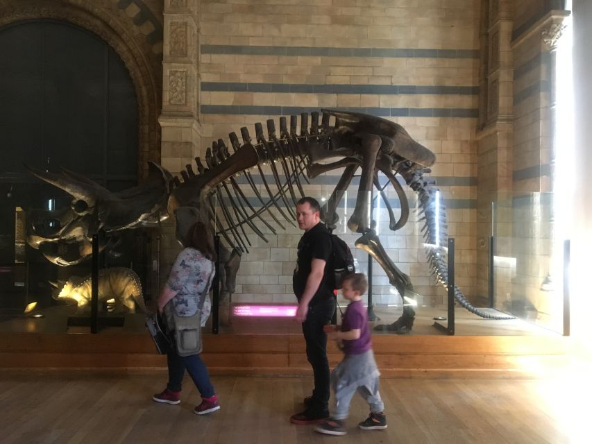 London: Natural History Museum Entry Ticket and Guided Tour - Price and value: does $76 buy enough?