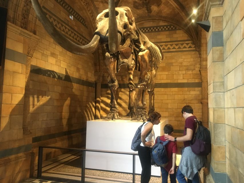 London: Natural History Museum Entry Ticket and Guided Tour - Getting there: South Kensington Metro to the meeting plate
