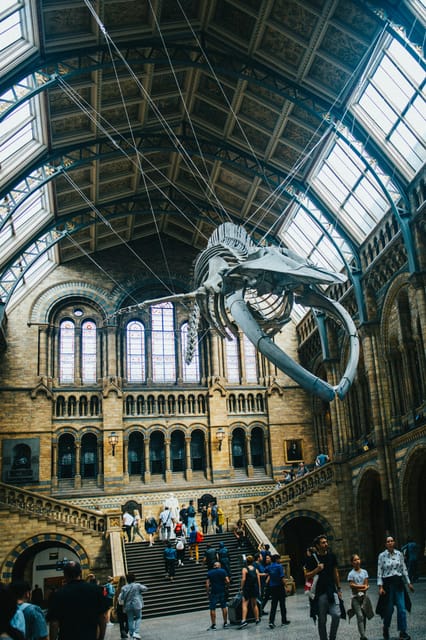 London: Natural History Museum Guided Tour - Key Highlights You’ll Actually Care About