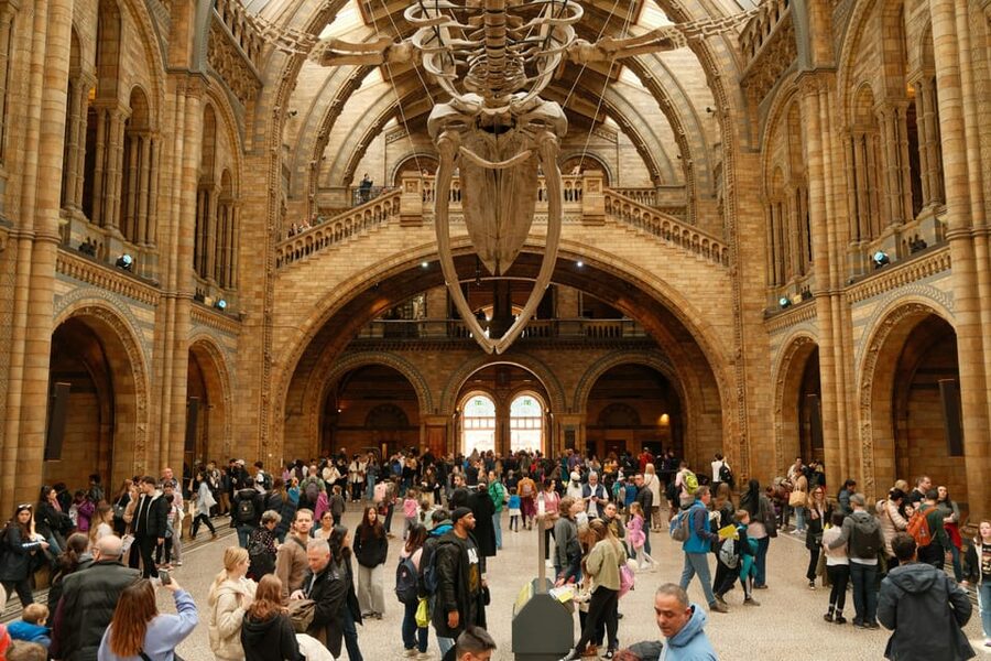 London: Natural History Museum Guided Tour - Why This Natural History Museum Tour Fits a Short London Trip