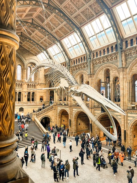 London: Natural History Museum Guided Tour - Dinosaur Starters: Iguanodon Teeth Fossils and Sophie the Stegosaurus
