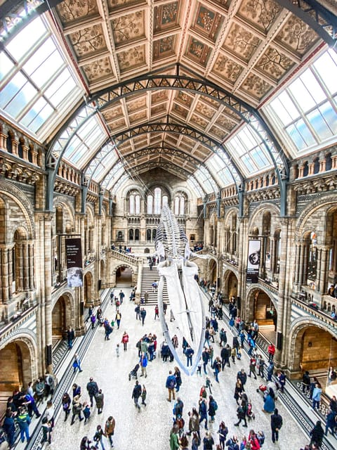London: Natural History Museum Guided Tour - Getting Your Bearings: 80 Million Specimens, One Sensible Route