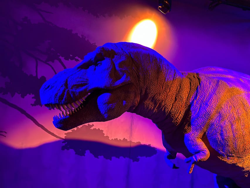 London: Natural History Museum Private Guided Tour - Dinosaurs in the Spotlight: T-Rex, Triceratops, and the Story Behind the Bones