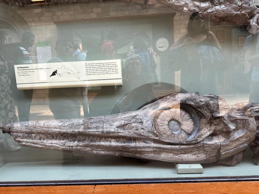 London: Natural History Museum Private Guided Tour - The People Behind the Science: Why Natural History Museums Feel Alive