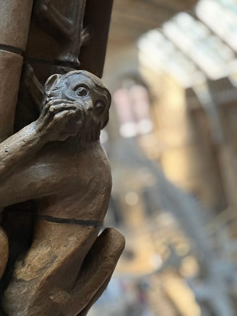 London: Natural History Museum Private Guided Tour - Price and Value for Groups Up to 6