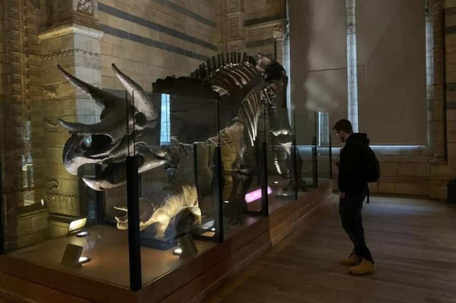 London: Natural History Museum Private Tour & Skip the line - Key things to know before you go
