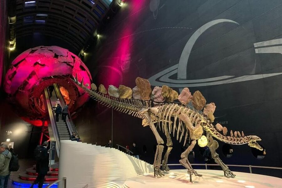 London: Natural History Museum Private Tour & Skip the line - What a private guide changes in the Natural History Museum