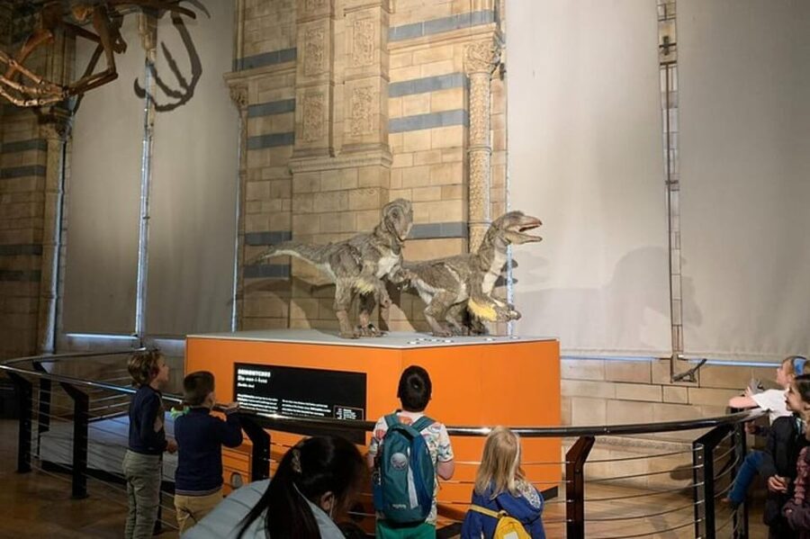London: Natural History Museum Private Tour & Skip the line - Dinosaur and fossil highlights you’ll actually remember