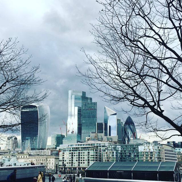 London: Private Intro Walk with a Local Guide - Canada Gate to Trafalgar Square, the Fastest Way to Get Oriented