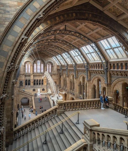 London: Royal Kensington Guided Walking Tour - Key Points That Make This Tour Worth Your Feet