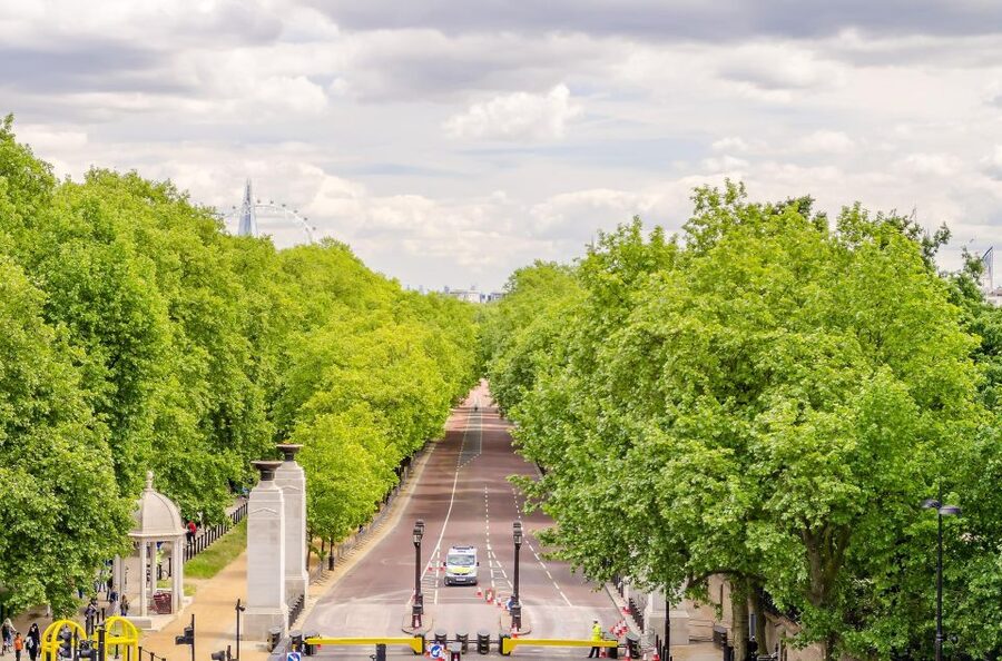 London Royal Tour - Buckingham Palace Entry - 12 guests 2,5h - Timed entry plus a self-guided two hours, how to plan your visit