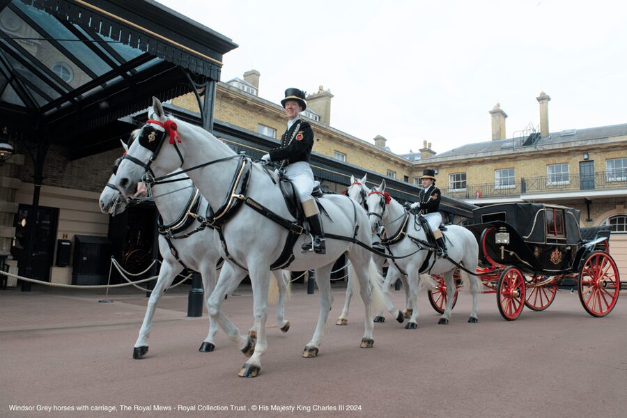 London: Royal Walking Tour with Guard Change & Royal Mews - Who should book this tour, and who should skip it