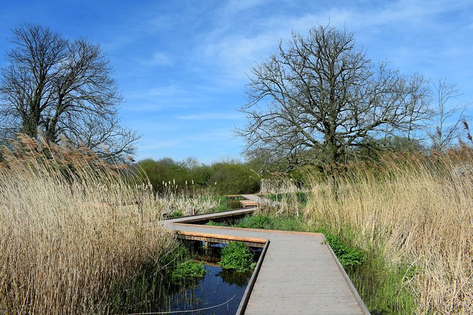 London's Best Kept Secret Bike Tour - The ancient village moment: charm, wildlife ponds, and a tall-tree claim