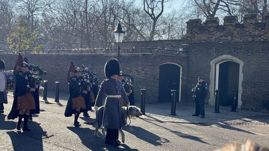 London’s Royal Family and Changing of the Guard Tour - St James’s Park, swans and pause moments