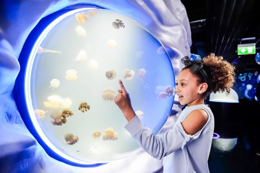 London: SEA LIFE Entry Ticket - The Big Walk: 14 Themed Zones Across Three Floors