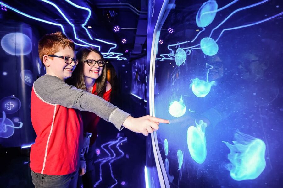 London: SEA LIFE Entry Ticket - Ice Adventure and Gentoo Penguins: The Cold-Weather Set Piece