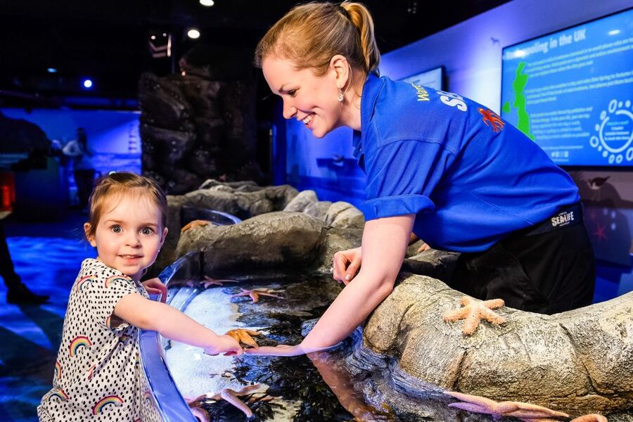 London: SEA LIFE Entry Ticket - Timed Entry, E-Tickets, and the One Rule You Should Follow