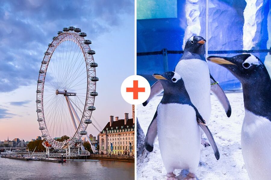 London: SEA LIFE & London Eye Combo Ticket - London Eye Capsules: 135 Meters Above the Southbank