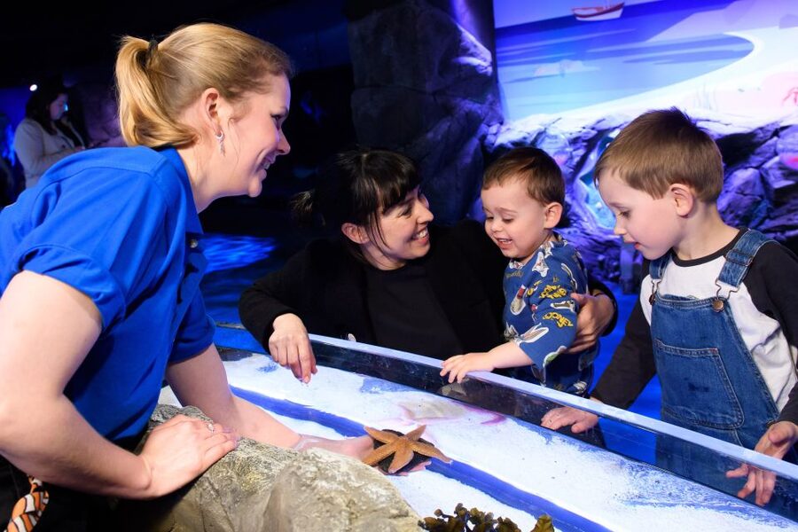 London: SEA LIFE & London Eye Combo Ticket - Best For: Families, Animal Lovers, and One-Time London Skyline Seekers