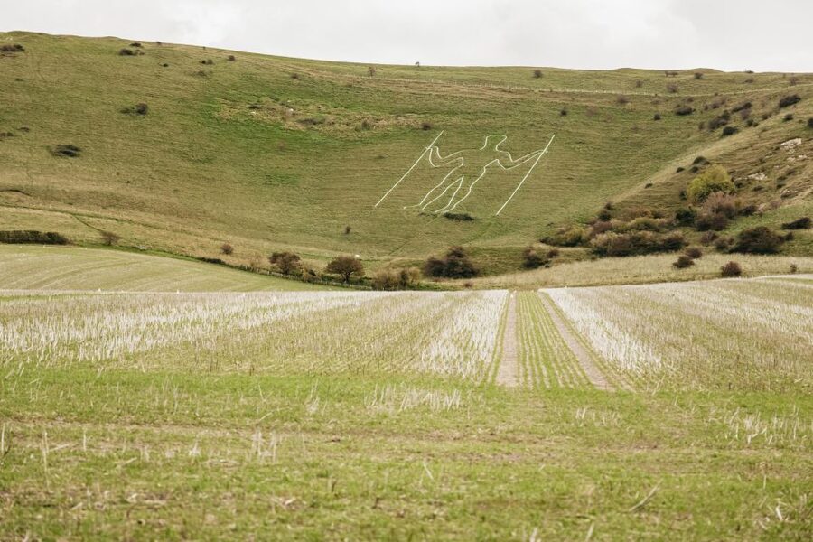 London: South Downs White Cliffs Day Trip with Train Tickets - Key Highlights at a Glance