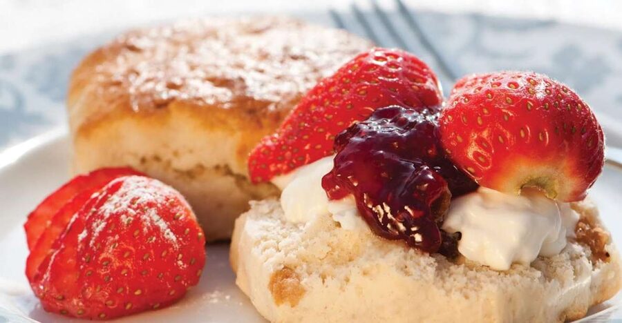 London Vintage Bus Tour and Cream Tea at Harrods - Price and value for a 4-hour London sampler