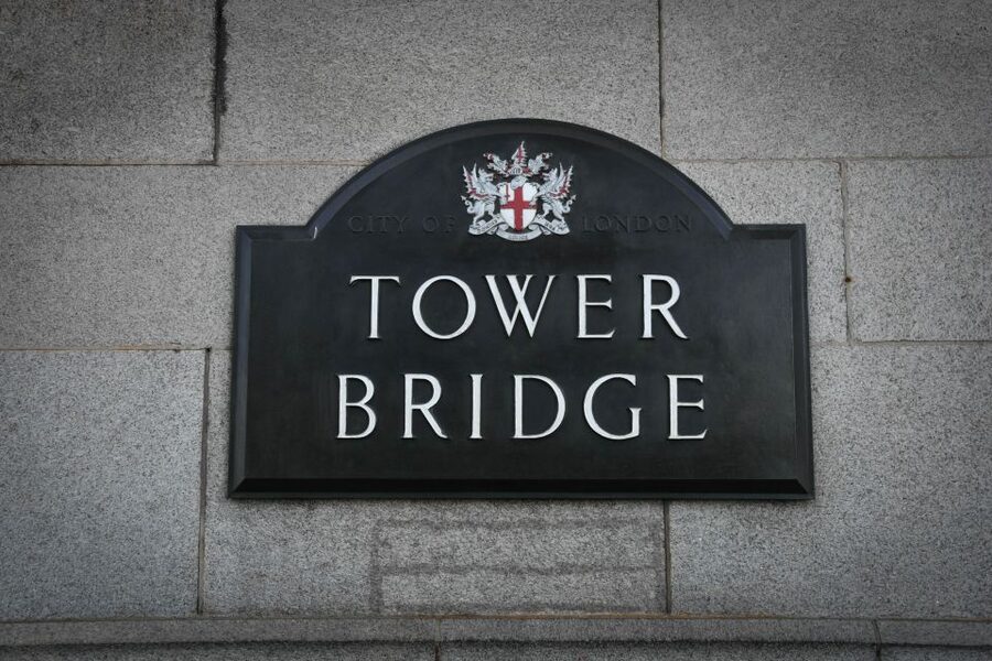 London: Westminster Tour, Tower of London & Tower Bridge - Changing of the Guard: when it shows up, and when it might not