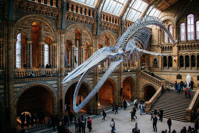Natural History Museum London - Exclusive Guided Museum Tour - Key highlights to know before you go
