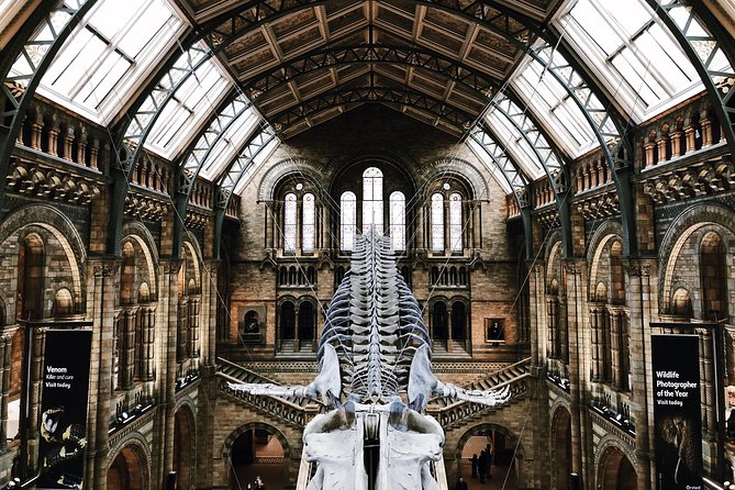Natural History Museum London - Exclusive Guided Museum Tour - What the 2-hour exclusive tour really includes