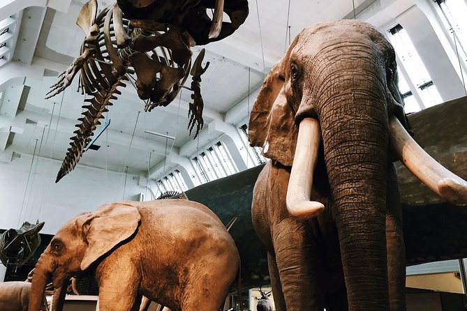 Natural History Museum London - Exclusive Guided Museum Tour - Dinosaur and bird connections, from Archaeopteryx to Sophie