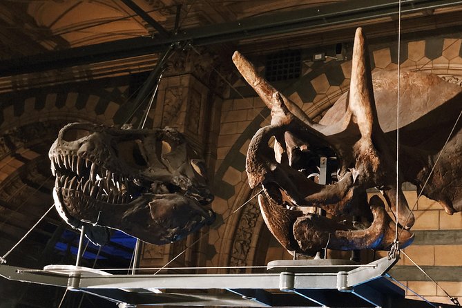Natural History Museum London - Exclusive Guided Museum Tour - Pompeii casts, strange history, and the museum’s darker side