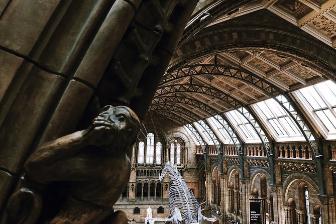 Natural History Museum London - Exclusive Guided Museum Tour - The vault moment: architecture, preserved specimens, and world-class scale