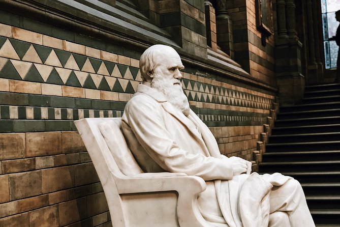 Natural History Museum London - Exclusive Guided Museum Tour - Why the guide adds real value here, not just facts