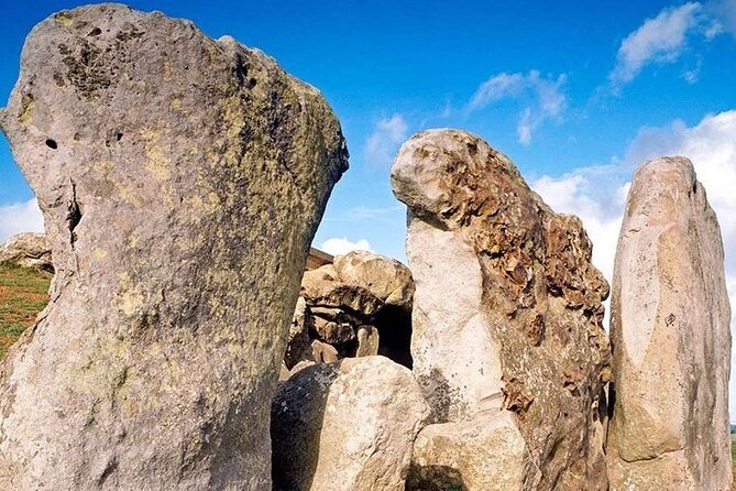Private Archaeologist Guided Tour Stonehenge, Salisbury & Avebury - Woodhenge: start with the timber story before Stonehenge