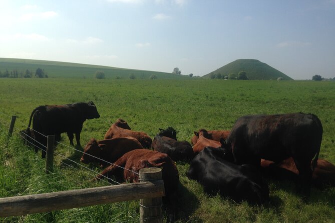 Private Archaeologist Guided Tour Stonehenge, Salisbury & Avebury - Alton Barnes White Horse: a quick, satisfying change of scenery