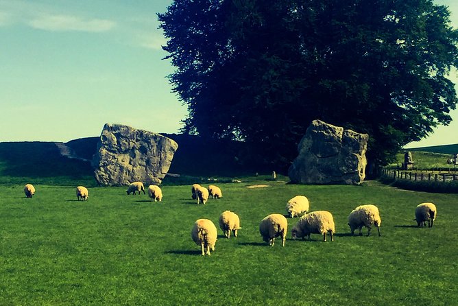 Private Day Tour to Bath, Avebury & The Cotswolds - Lacock village: film locations with real village texture