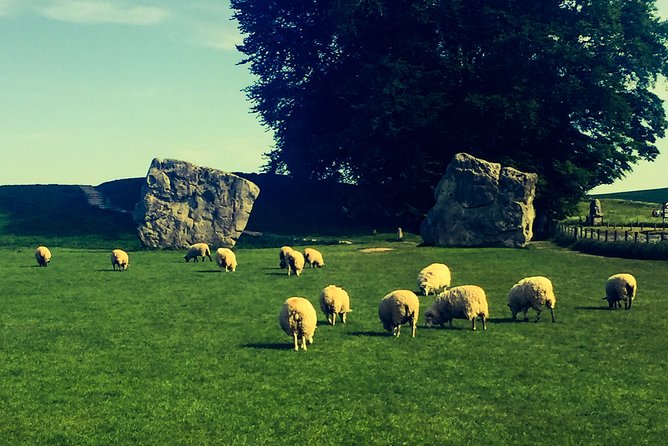 Private Day Tour to Bath, Avebury & The Cotswolds - The small-vehicle advantage, and what it means for your route