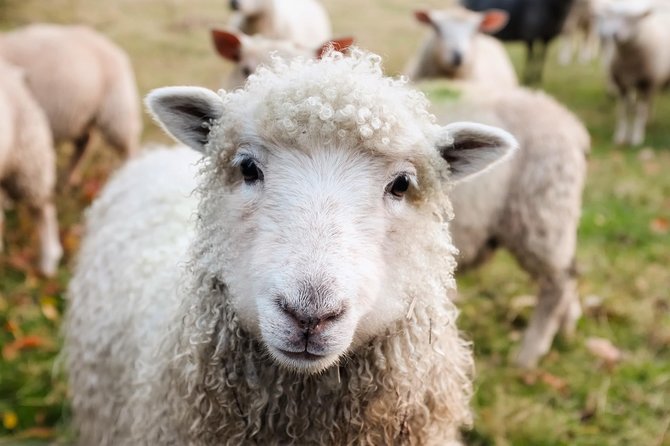Private Day Tour to Oxford and The Cotswolds - Who This Tour Suits Best